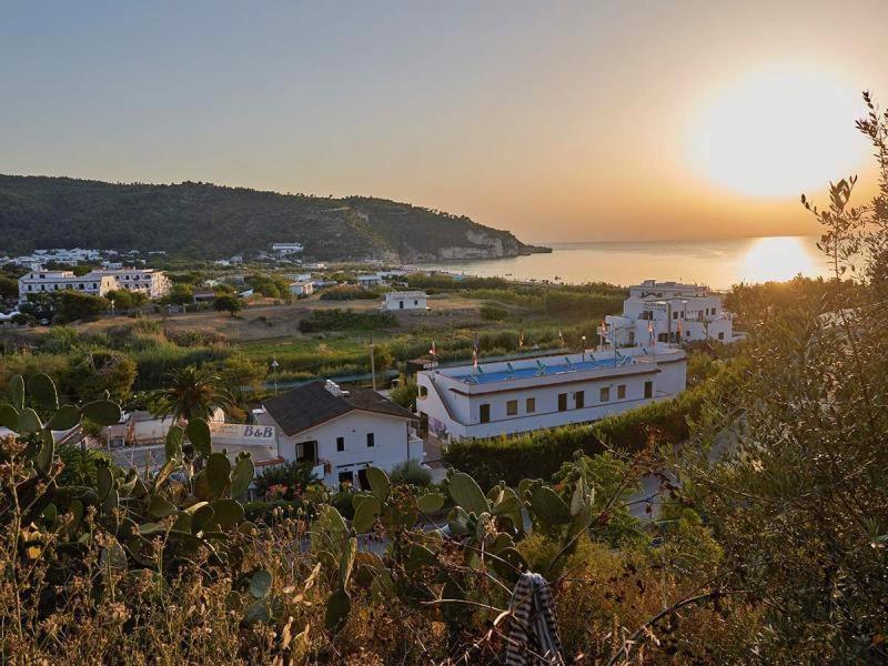 B&B Ala Marina Peschici Bagian luar foto